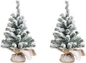 2x stuks kunstboom/kunst kerstboom met sneeuw 45 cm - Kunst kerstboompjes/kunstboompjes