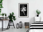 Artgeist - Schilderij - Plant - Multicolor - 40 X 60 Cm