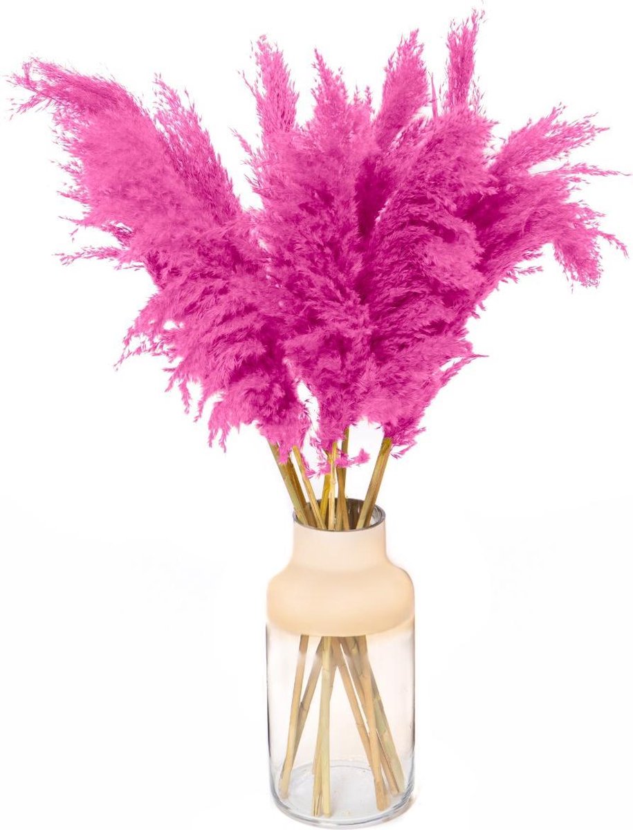 Pampas Pluimen - Droogbloemen - 5 stuks - Roze - Pampas Gras - Fluffy Pluimen - 90cm
