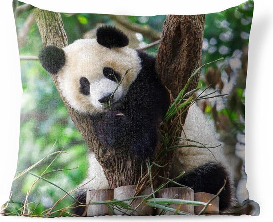 Coussins d'extérieur - Jardin - Chiot Panda - 45x45 cm
