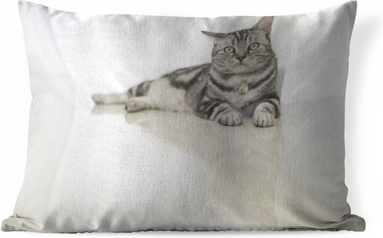 Buitenkussens - Tuin - Amerikaanse korthaar kat - 60x40 cm
