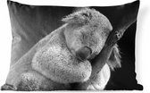 Buitenkussens - Tuin - Een slapende koala tegen een zwarte achtergrond - 60x40 cm