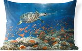 Buitenkussens - Tuin - Koraalrif met schildpad - 50x30 cm