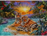 TOPMO- Tijger eiland-  Diamond painting pakket - HQ Diamond Painting - volledig dekkend - Diamant Schilderen – voor Volwassenen – ROND - 40 x 50 CM