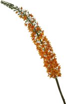Viv! Home Luxuries Eremurus - zijden bloem - oranje - 140cm - topkwaliteit