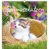 Schmusekatzen 2022