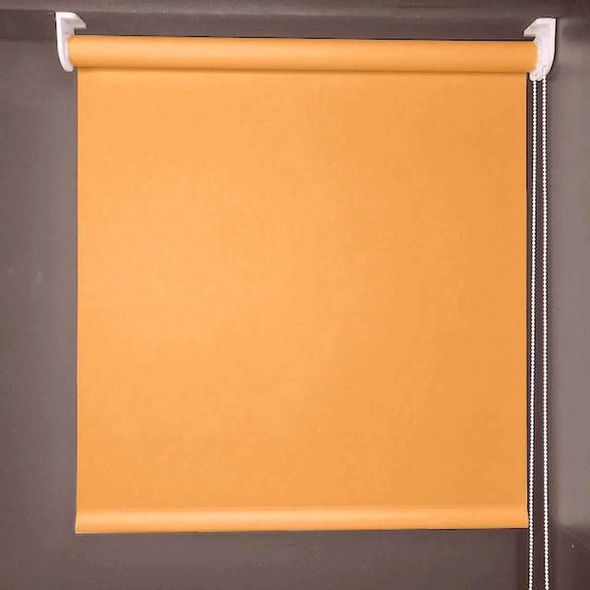 Rolgordijn oranje 220x230 lichtdoorlatend