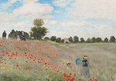 Bluebird - Claude Monet - Poppy Field, 1873 -  Puzzle 1000 Stukjes