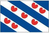 Stijlvolle Provincievlag Friesland Bootvlag 30x45 - Talamex