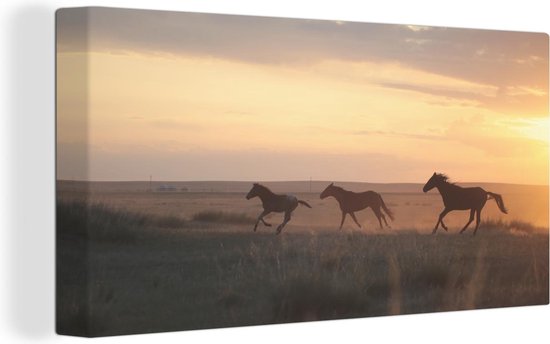 Canvas Schilderij Wilde paarden rennen in een grasveld - 80x40 cm - Wanddecoratie