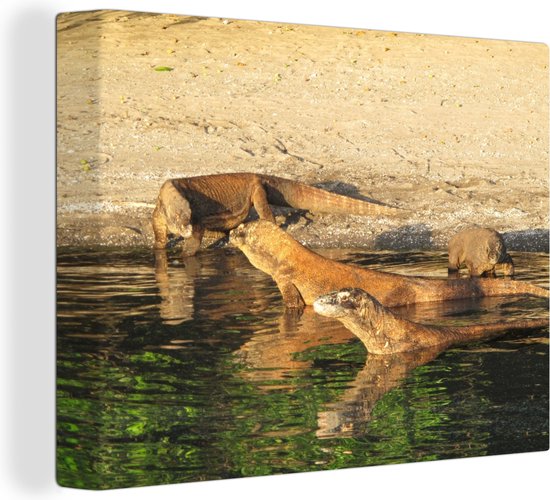 Canvas schilderij 160x120 cm - Wanddecoratie Komodovaranen in water - Muurdecoratie woonkamer - Slaapkamer decoratie - Kamer accessoires - Schilderijen