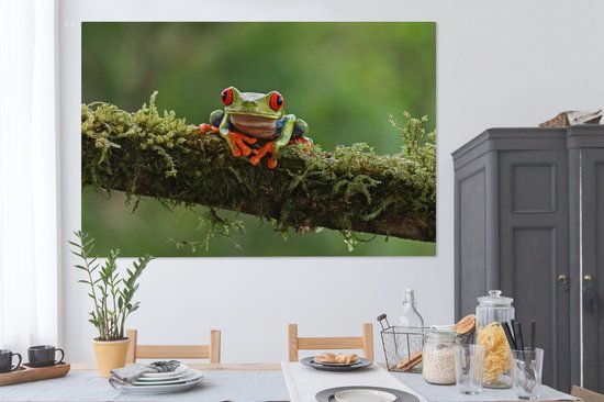 Grenouille d'arbre aux yeux rouges sur toile de branche couverte 2cm 150x100 cm - Impression photo sur toile (Décoration murale salon / chambre) / Peintures sur toile animaux sauvages