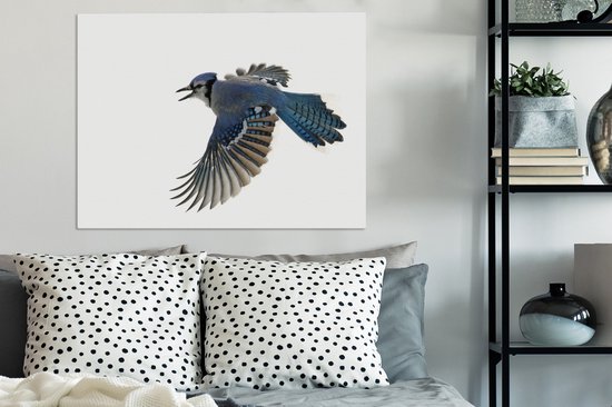 Blue Jay devant toile fond blanc 2cm 80x60 cm - impression photo sur toile peinture Décoration murale salon / chambre à coucher) / Animaux sauvages Peintures Toile