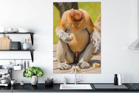 Un singe proboscis regardant vers le bas 90x140 cm - Tirage photo sur toile (Décoration murale salon / chambre)