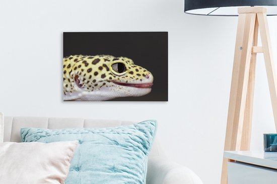 Gros plan sur toile gecko léopard 2cm 30x20 cm - petit - Tirage photo sur toile (Décoration murale salon / chambre) / Animaux sauvages Peintures sur toile