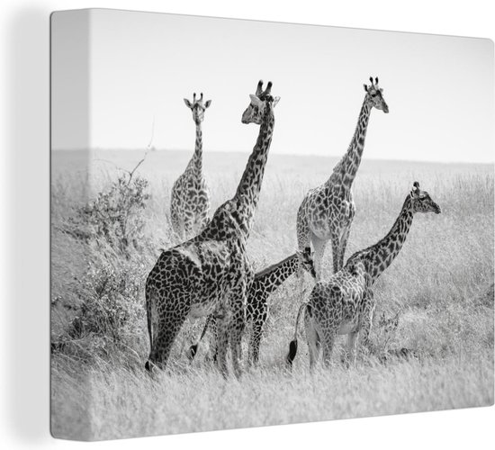 Canvas schilderij 160x120 cm - Wanddecoratie Giraffe familie in zwart-wit - Muurdecoratie woonkamer - Slaapkamer decoratie - Kamer accessoires - Schilderijen
