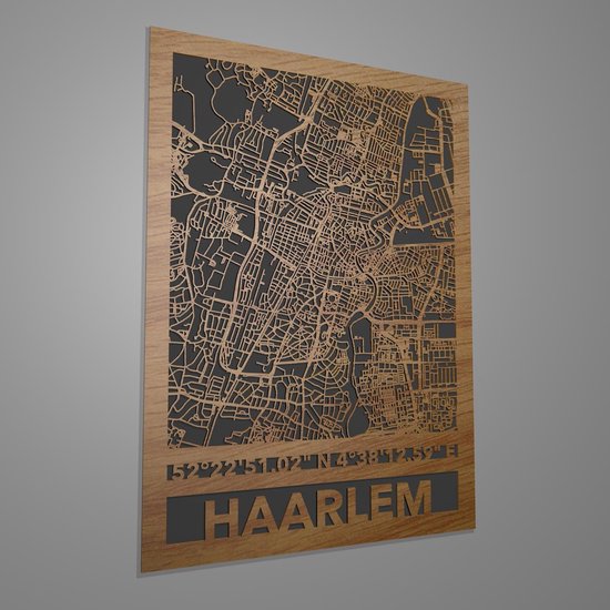 Stadskaart Haarlem met coördinaten