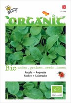 Buzzy® Organic Rucola gewone (BIO)