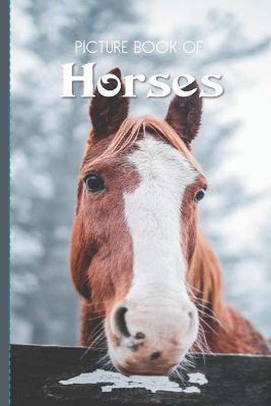 Picture Book Of Horses - cover