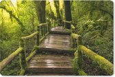 Muismat Jungle - Mooi regenwoud en jungle muismat rubber - 27x18 cm - Muismat met foto