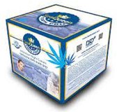SeaQueen - Dead Sea Minerals Cannabis Intensive Night Cream (Dode Zee Mineralen Cannabis Intensieve Nachtcreme)