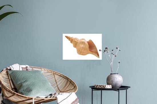 Sticker Muursticker Coquillages - Coquille d'escargot de mer - 30x20 cm - Film adhésif autocollant - Sticker mural repositionnable