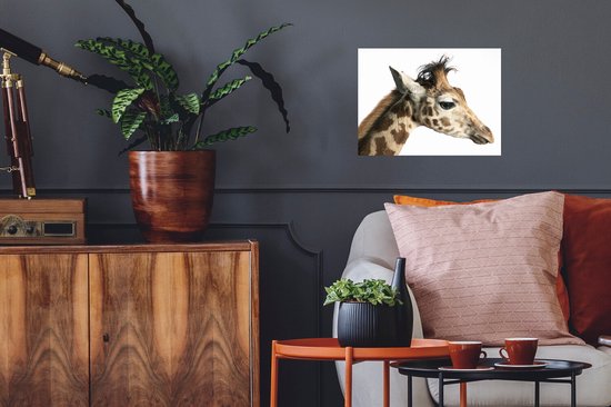 Sticker Muursticker Gros plan Girafe - Gros plan sur le côté de la tête d'une girafe - 40x30 cm - film autocollant - sticker mural repositionnable