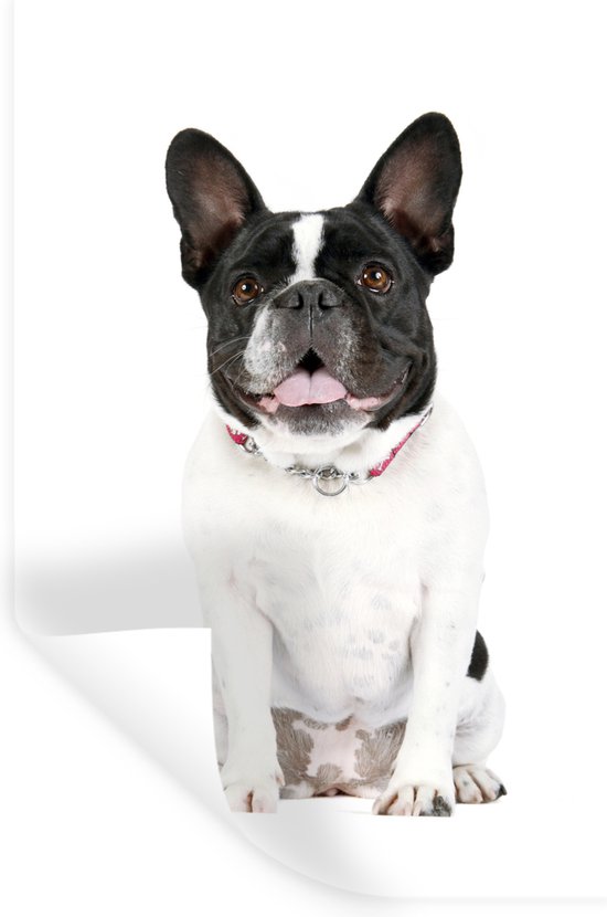 Muurstickers - Sticker Folie - Franse Bulldog - Zwart - Wit - 20x30 cm - Plakfolie - Muurstickers Kinderkamer - Zelfklevend Behang - Zelfklevend behangpapier - Stickerfolie
