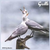 Gulls 2022 Calendar