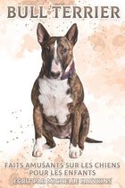 Bull Terrier