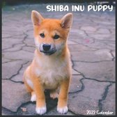 Shiba Inu Puppy 2022 Calendar
