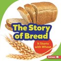 Step by Step-The Story of Bread