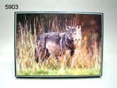 Geharo, legpuzzel, 1000 stukjes, wolf