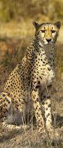 Cheetah deurposter 92x202 cm