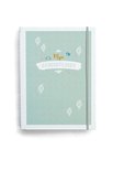 Maan Amsterdam Geboorteboek en Kraambezoekboek Mint - Invulboek rondom geboorte en kraamvisite - Opbergen geboortepost - Babyboek