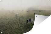 Tuindecoratie Koeien - Mist - Friesland - 60x40 cm - Tuinposter - Tuindoek - Buitenposter