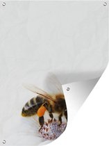 Tuinschilderij Close-up honingbij op witte bloem - 60x80 cm - Tuinposter - Tuindoek - Buitenposter