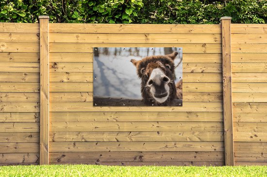 Curious chevalet affiche de jardin en vrac 120x80 cm - Toile de jardin / Toile d'extérieur / Peintures pour l'extérieur (décoration de jardin)