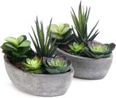 Bonsaiplanten | Kunstplanten | 2 Stuks | Groen | 15.5x9x14.5 cm