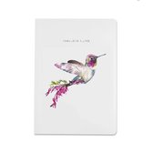 Fabulous Notes- kolibri