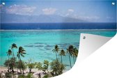 Tuinposter - Tuindoek - Tuinposters buiten - Palmen op de kust van Moorea in Frans-Polynesië - 120x80 cm - Tuin