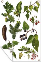 Muurdecoratie Geïllustreerd herfstachtige kruiden en planten - 120x180 cm - Tuinposter - Tuindoek - Buitenposter