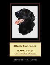 Black Labrador