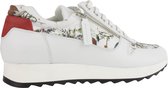 Kara sneaker Jheronimus Bosch Birth Vegan