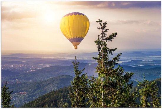 Poster - Blauw/Gele Luchtballon boven Prachtig Landschap - Foto op Posterpapier