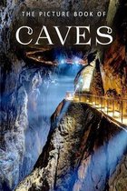 Picture Books - Miscellaneous-The Picture Book of Caves