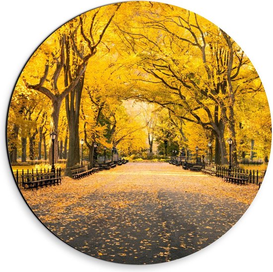 Dibond Wandcirkel - Central Park - New York  - 30x30cm Foto op Aluminium Wandcirkel (met ophangsysteem)