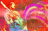 Schilderij canvas print-Jimi Hendrix @ Waikiki Shell-115x75cm