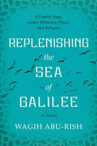 Replenishing the Sea of Galilee