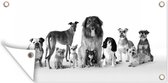 Tuinposter Groepsportret van honden - zwart wit - 80x40 cm - Wanddecoratie Buiten - Tuinposter - Tuindoek - Schuttingposter - Tuinschilderij